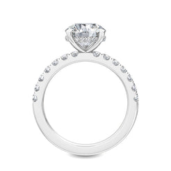 Classic Solitaire Pave Band otrodiamonds